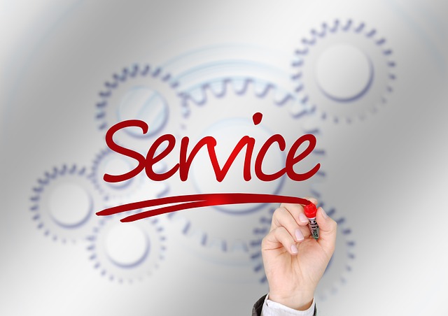 servis.jpg